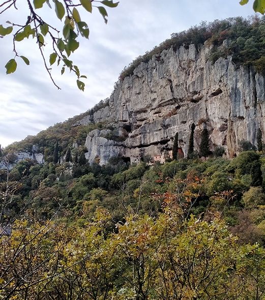 Cantina Muraro Severino Longare